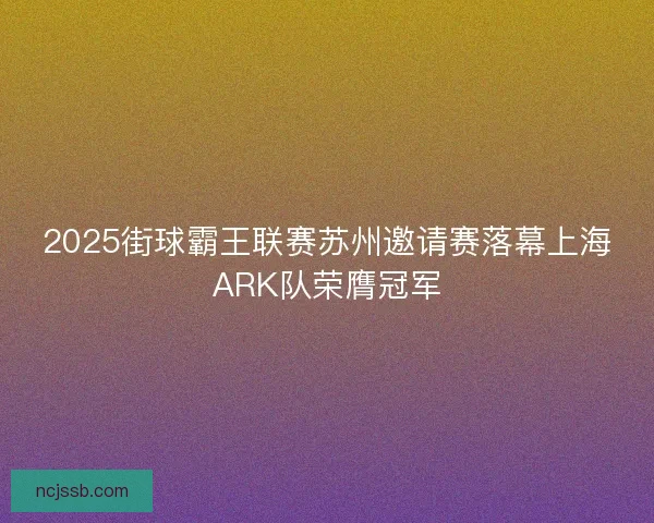 2025街球霸王联赛苏州邀请赛落幕上海ARK队荣膺冠军